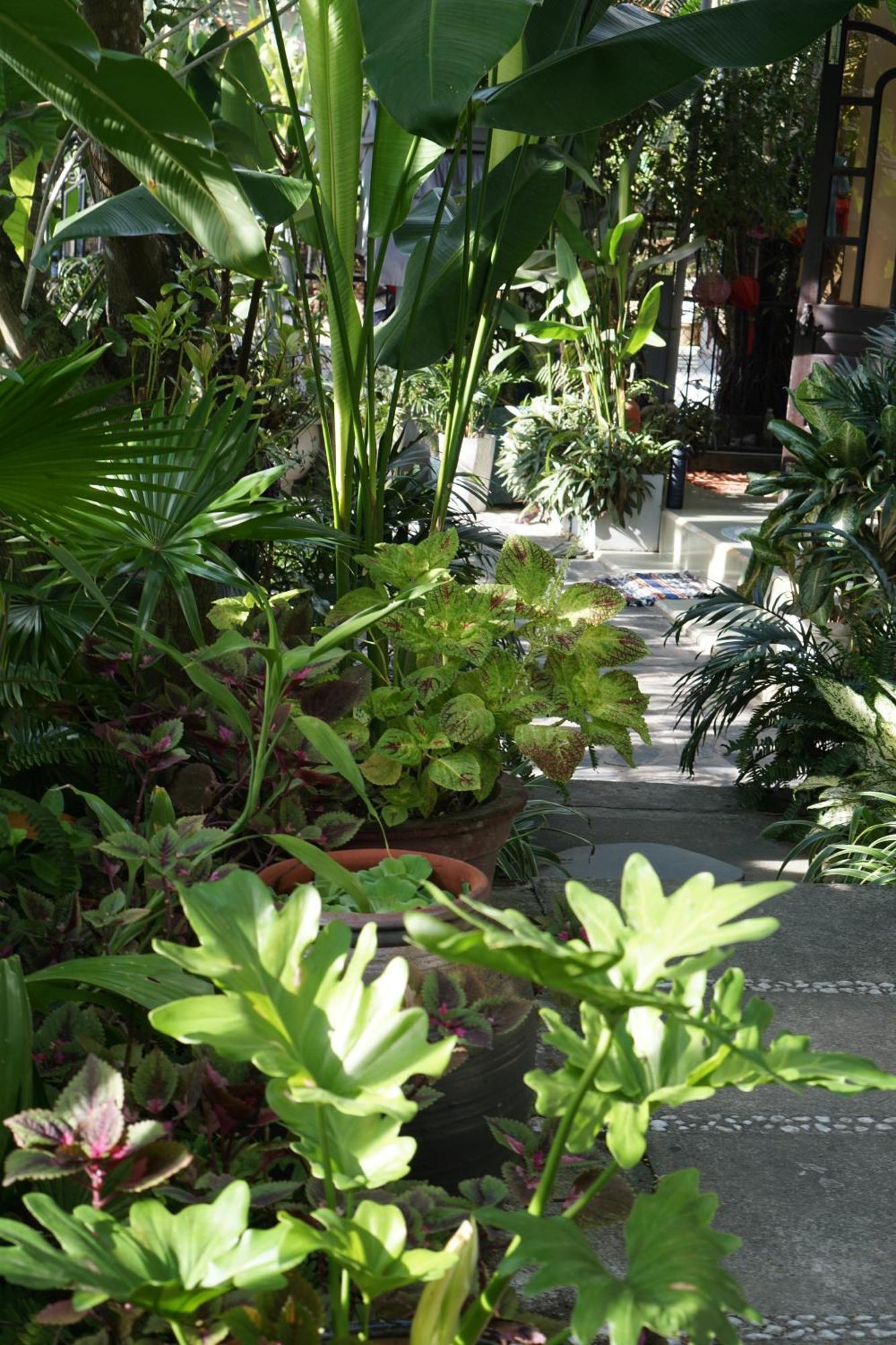 Hoi An Sunny Garden Apartment Exterior photo
